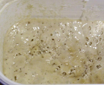 Pain au levain naturel