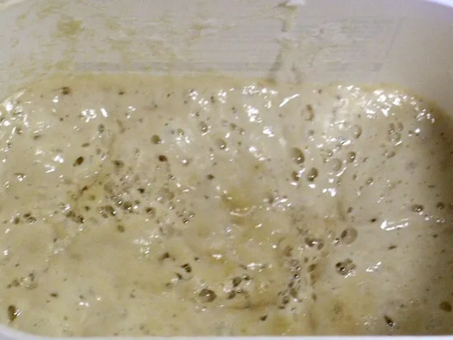 Yoghurt Bread