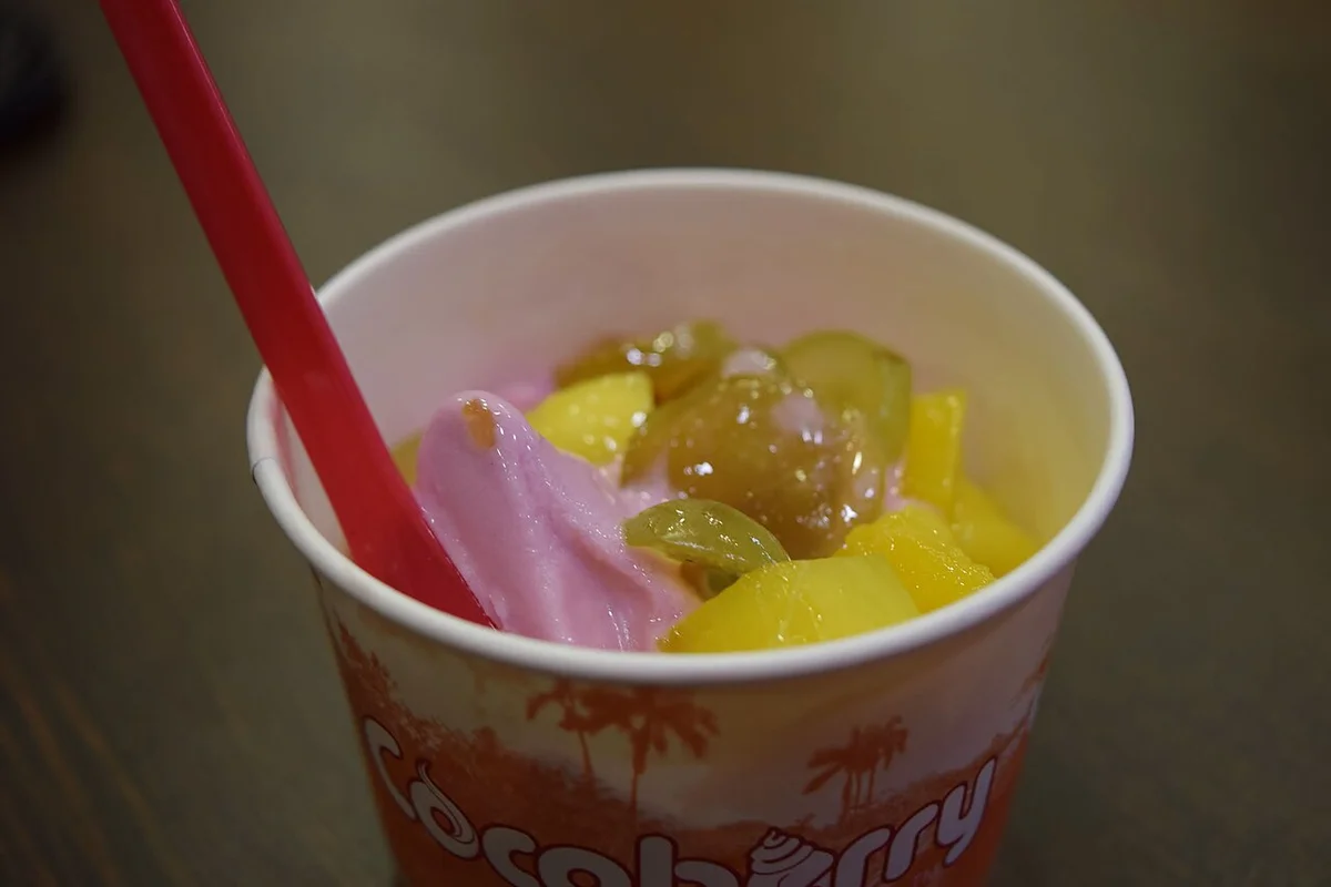 Frozen Mango Yogurt — 10min | Recidemia