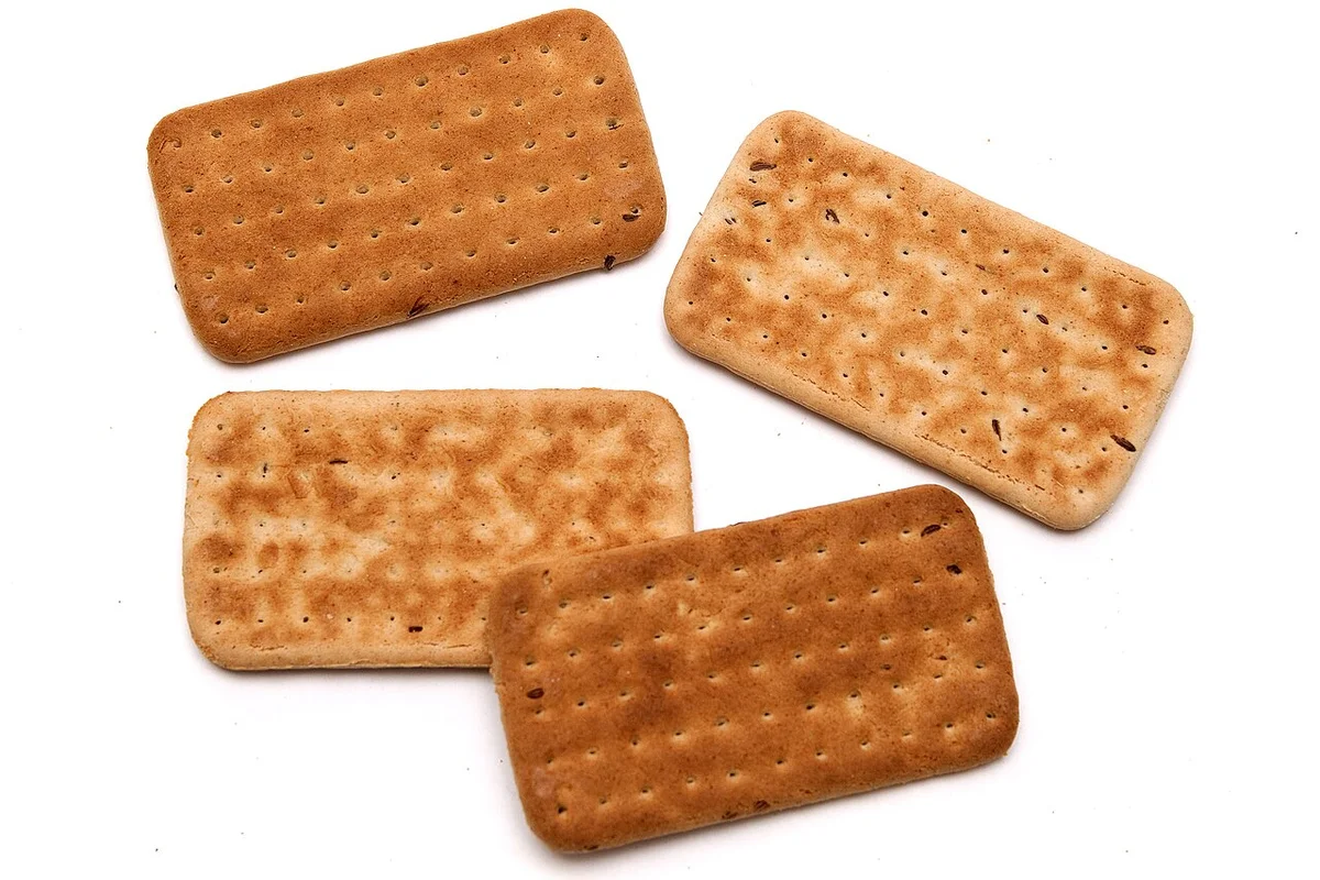 Hard Tack — 60min | Recidemia
