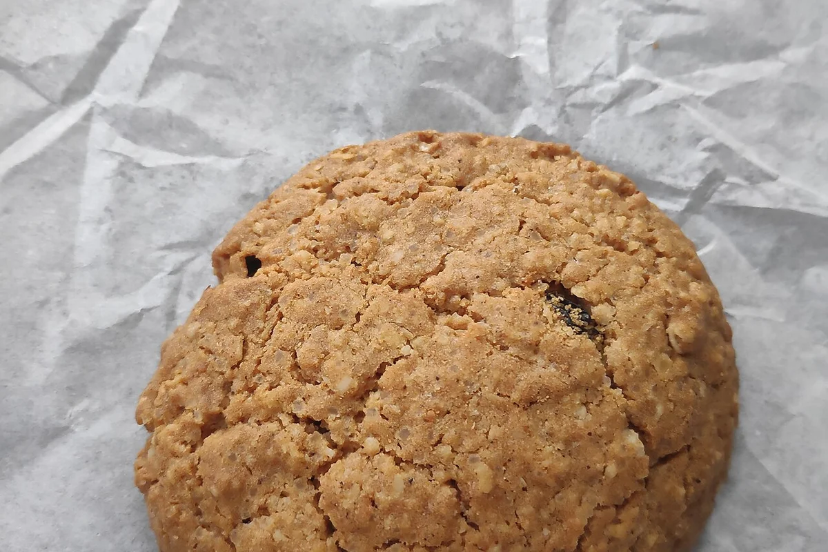 Raisin Cookies