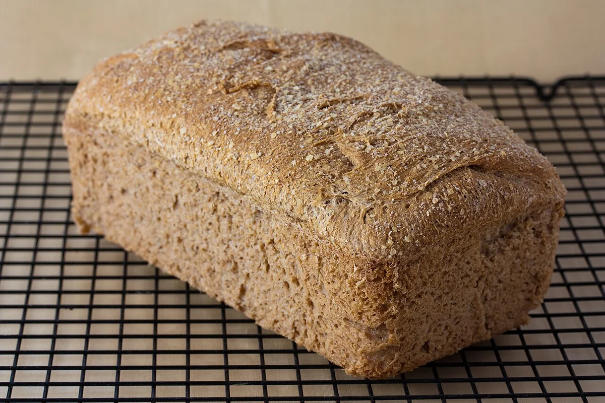 Whole-Wheat Bread