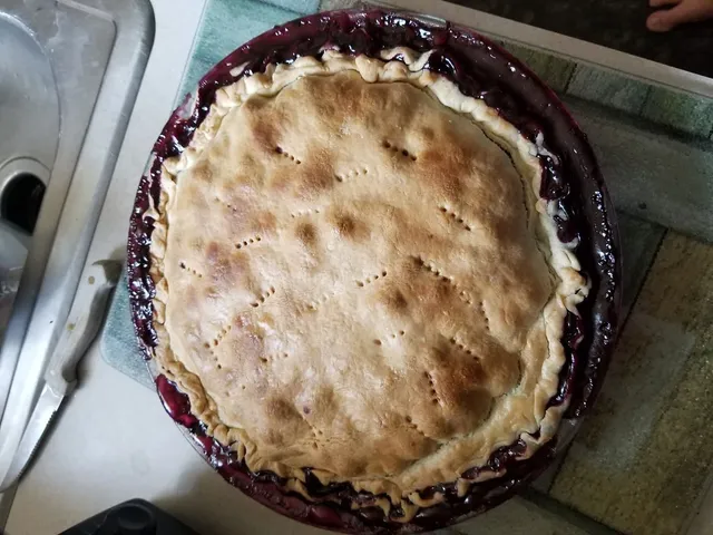 Fresh Blueberry Pie