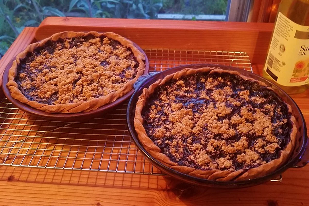 Wild Blueberry Pie