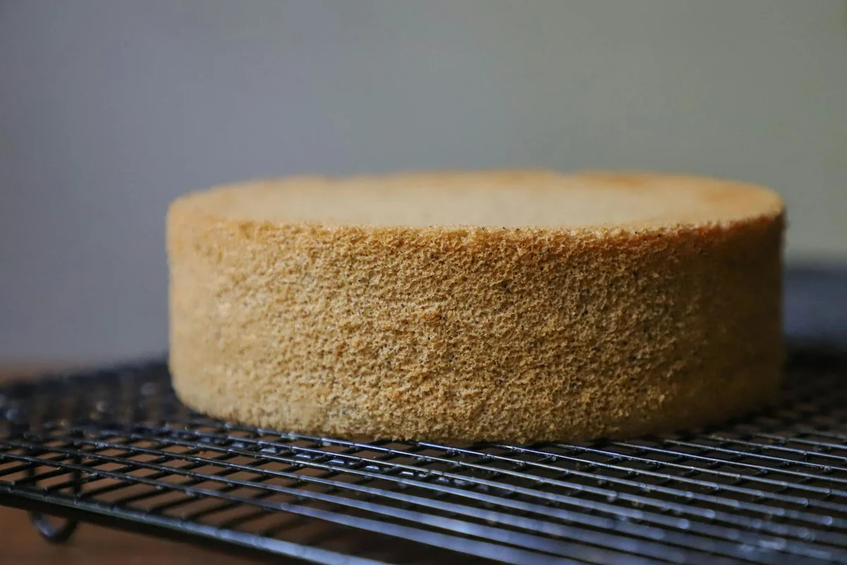 Basic Sponge Cake