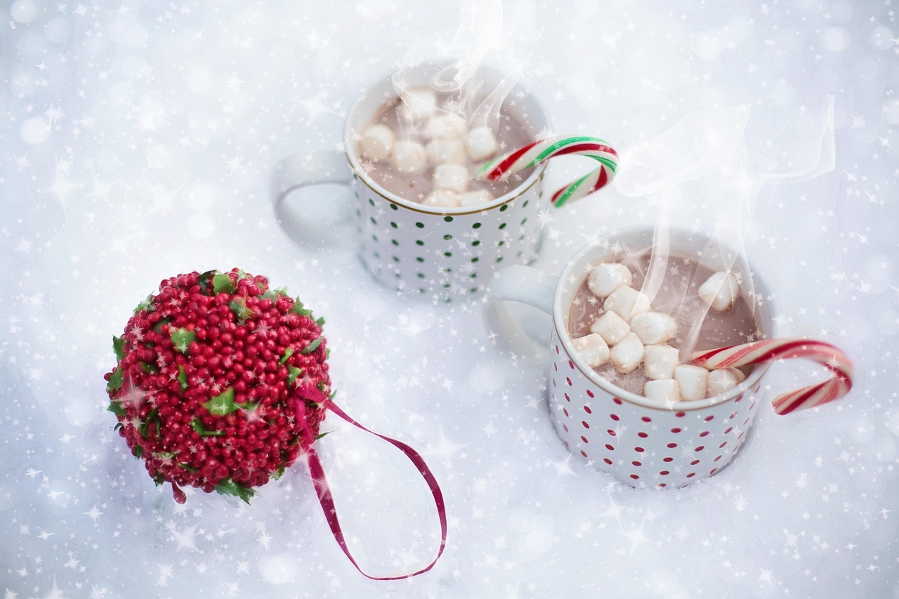 Quick make Canadan Hot choclate La Sleep